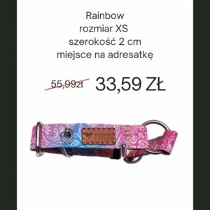 OBROŻA PÓŁZACISK RAINBOW XS 2 CM